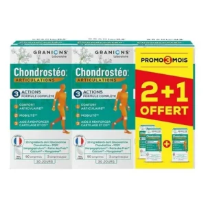 Natürliche Diätetik | CHONDROSTEO Chondrostéo Artikulation 3x90comp