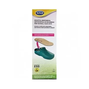 Schuhe | Scholl Clog Evo Anat Ant Ins Mic40-41