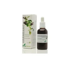 Arzneipflanzen | Soria Natural Extracto Arandano Xxi 50ml