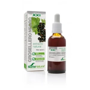 Arzneipflanzen | Soria Natural Extracto Grosellero Negro Xxi 50 Ml Sori