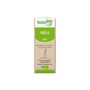 Knochen | Herbalgem Mazerat Mutter Schachtelhalm Konzentrat 30ml