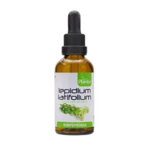 Harnwege | Plantis Lepidium Latifolium-Extrakt Steinbrecher 50 ml