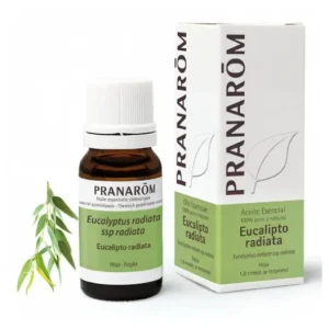 Arzneipflanzen | Pranaru00f4m Pranarom Eukalyptus Radiat Ac Esenc 10ml
