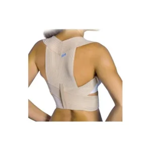 Haltungskorrektur | Prim Rückenstütze Transp. 335 T-M 1ud