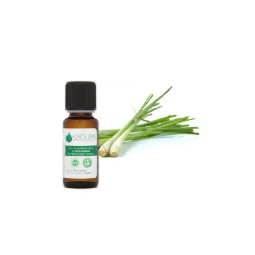 Arzneipflanzen | VOSHUILES Citronella Ätherisches Öl 10ml