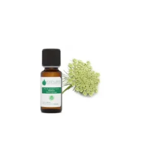 Arzneipflanzen | VOSHUILES Ätherisches Öl von Khella 10ml
